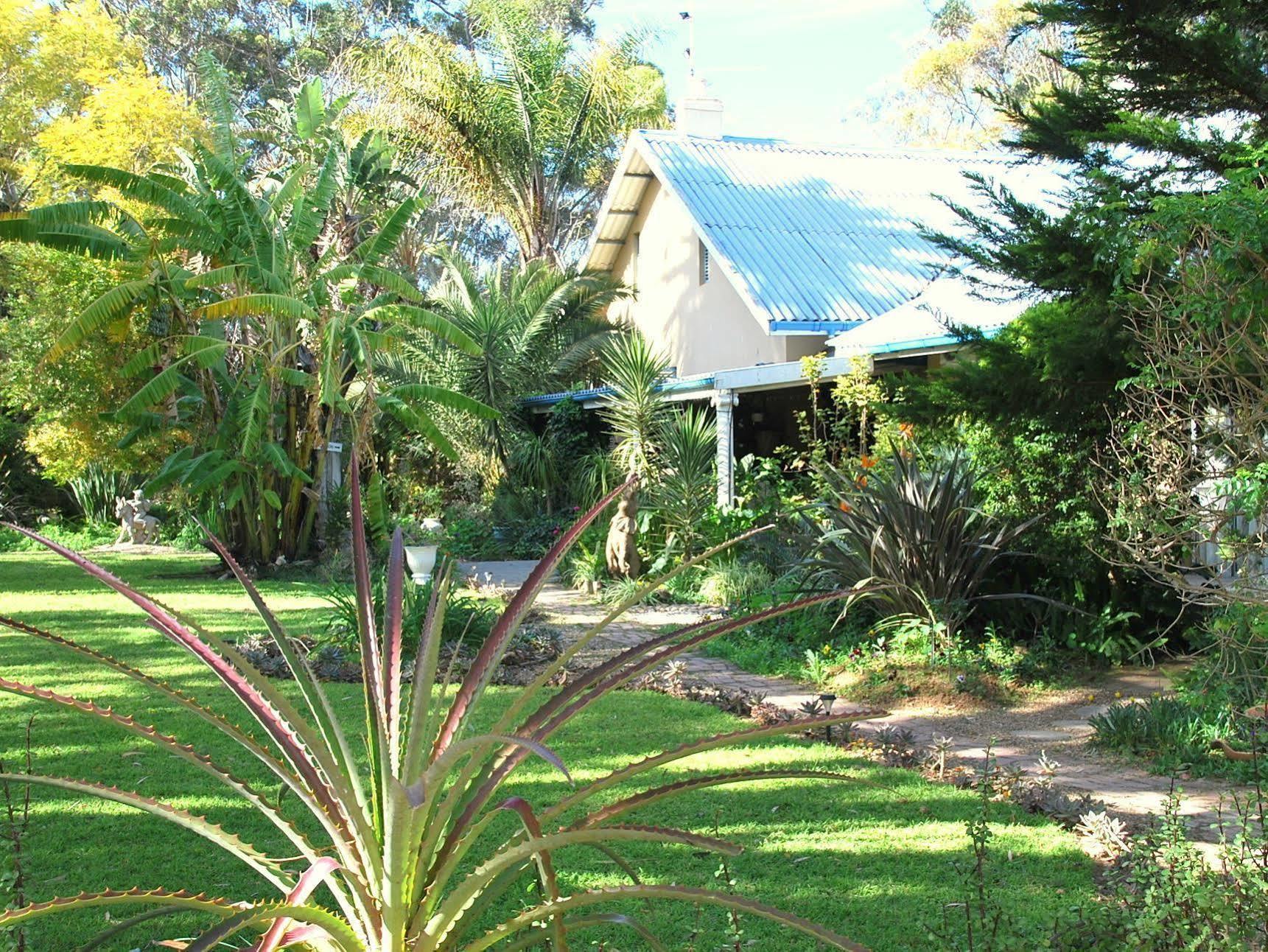 Homestead Bed And Breakfast Addo Exterior foto
